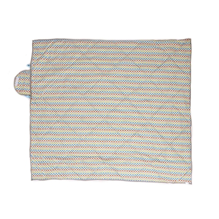 ID. Buzz Picnic Blanket