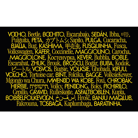 Vochos Unidos Photobook
