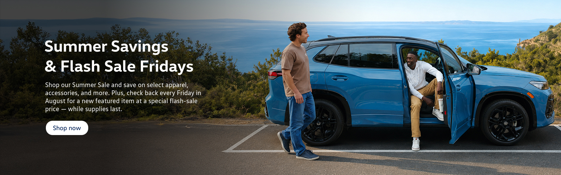 VW Summer Sale Home banner